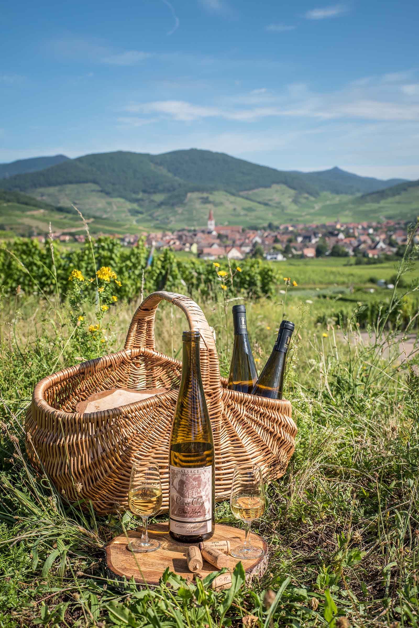 Domaine Théo Meyer et fils, vigneron indépendant à Ammerschwihr en Alsace
