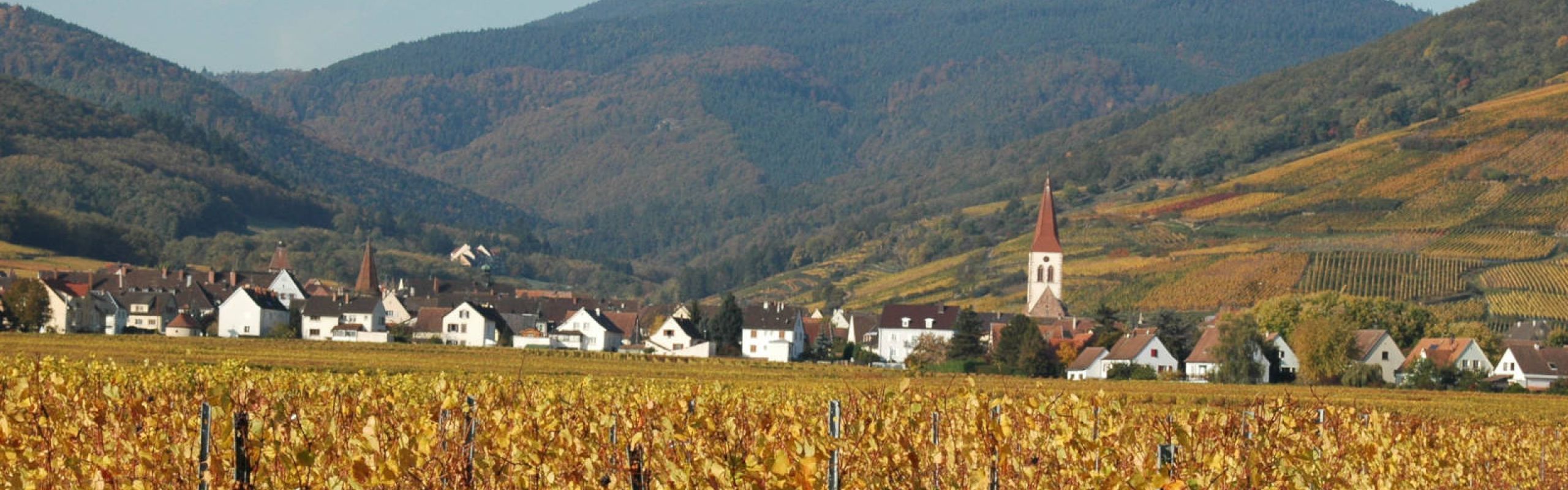 Domaine Théo Meyer, Ammerschwihr, Alsace - Les millésimes
