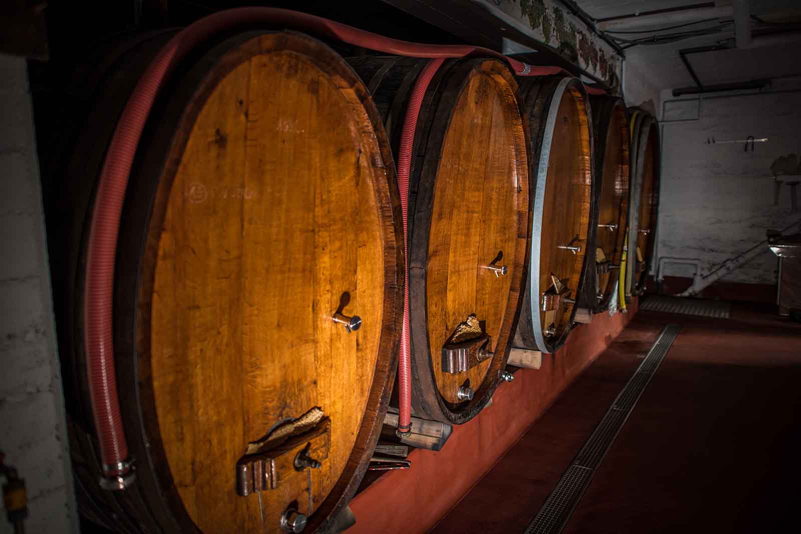 Domaine Théo Meyer et fils, vigneron indépendant à Ammerschwihr en Alsace