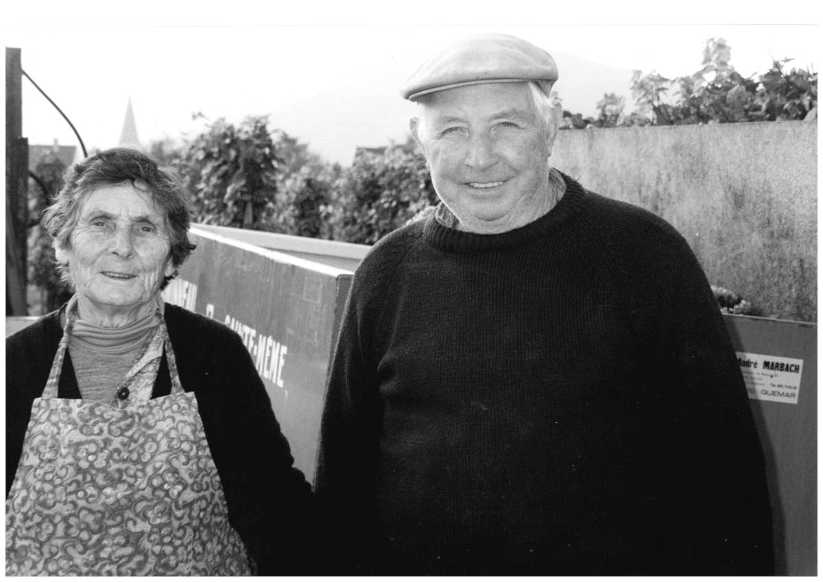 Domaine Théo Meyer et fils, vigneron indépendant à Ammerschwihr en Alsace