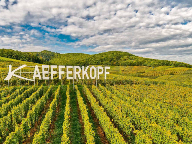 Domaine Théo Meyer et fils, vigneron indépendant à Ammerschwihr en Alsace, grand cru Katzenstegel
