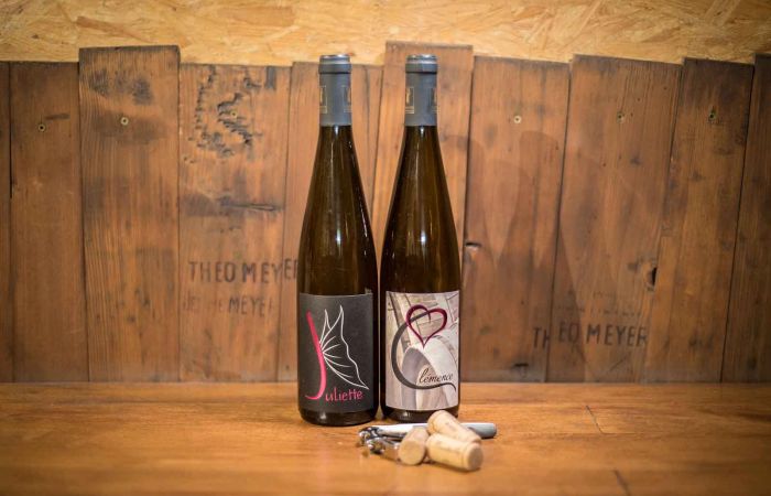 Domaine Théo Meyer et fils, vins fins d’Alsace