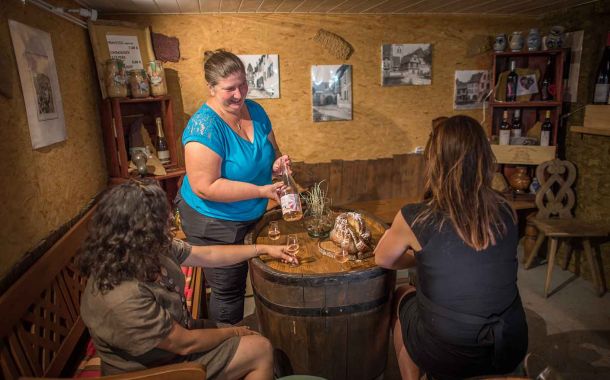 Domaine Théo Meyer et fils, vigneron indépendant à Ammerschwihr en Alsace, engagé envers la biodiversité