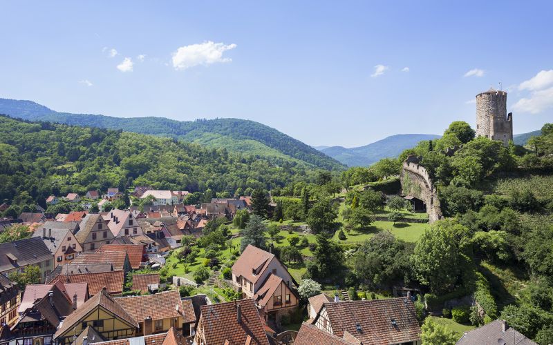 Domaine Théo Meyer et fils, vigneron indépendant à Ammerschwihr en Alsace