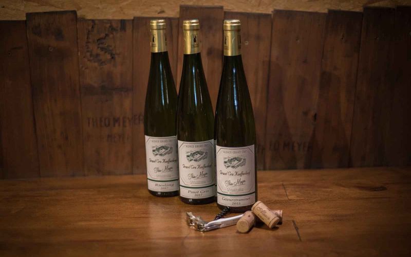 Domaine Théo Meyer et fils, vigneron indépendant à Ammerschwihr en Alsace